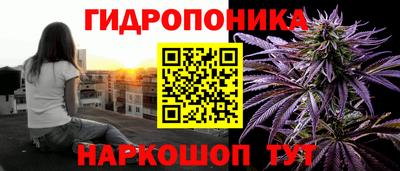 шишки Рязань